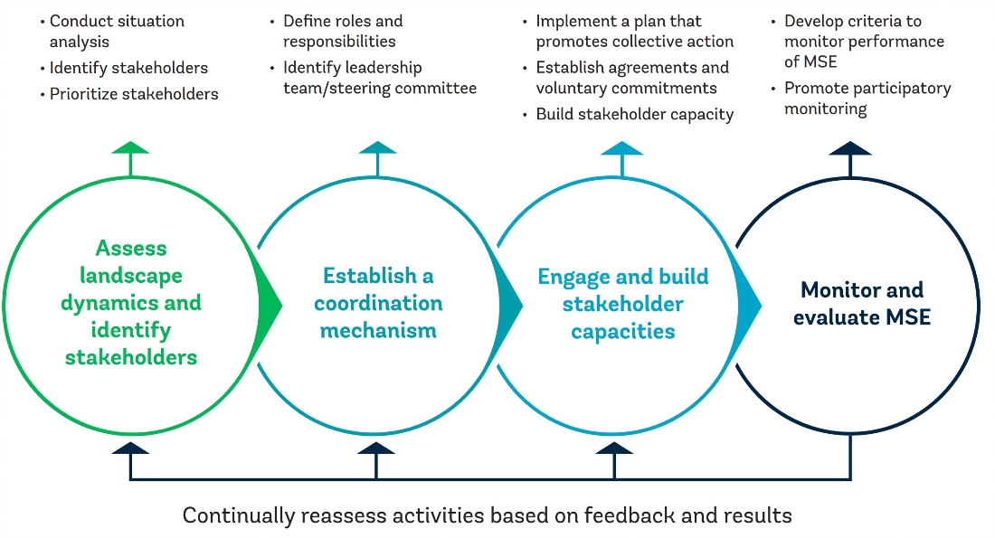 Multistakeholder key elements