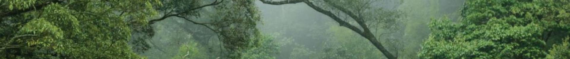 Workshop: Accelerating Climate Action: Unlocking Private Sector Finance for Sustainable Landscape