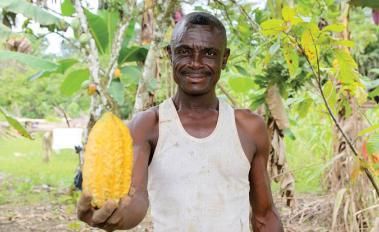 Cutting deforestation out of the cocoa supply chain