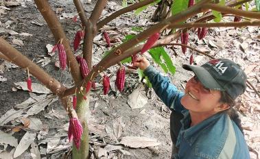 Colombia cacao tree and woman - photo credit: Andean Cacao